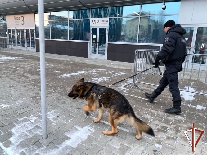 В Екатеринбурге Росгвардия обеспечила охрану порядка на хоккейном матче Кубка Гагарина