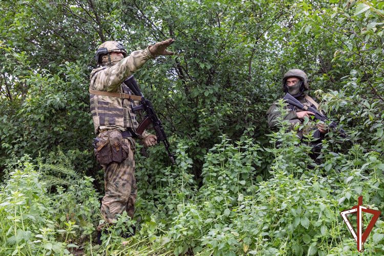 Росгвардейцы обнаружили схрон боеприпасов под мостом в ЛНР (видео)