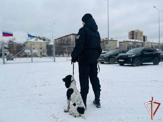Росгвардейцы обеспечили правопорядок и безопасность хоккейного матча континентальной лиги