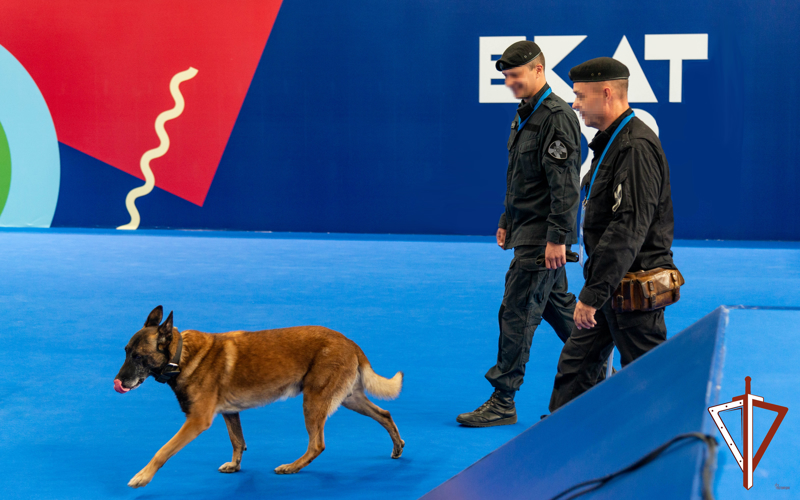В Екатеринбурге Росгвардия обеспечила охрану порядка на Всероссийском турнире по баскетболу среди молодежи 