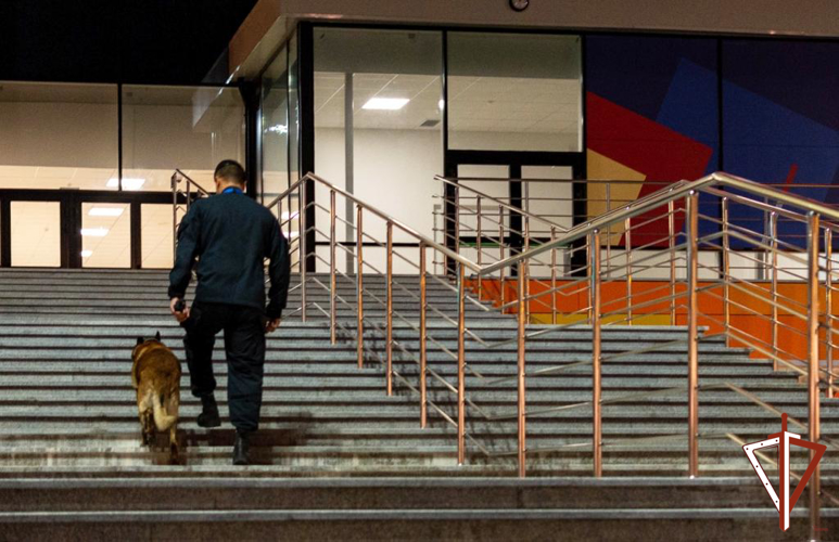 В Екатеринбурге при содействии Росгвардии обеспечена охрана порядка на матче Континентальной хоккейной лиги 