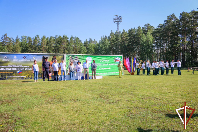 Выставка породистых собак памяти кинолога Росгвардии состоялась на Среднем Урале (видео)