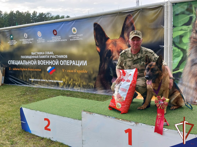 Выставка породистых собак памяти кинолога Росгвардии состоялась на Среднем Урале (видео)