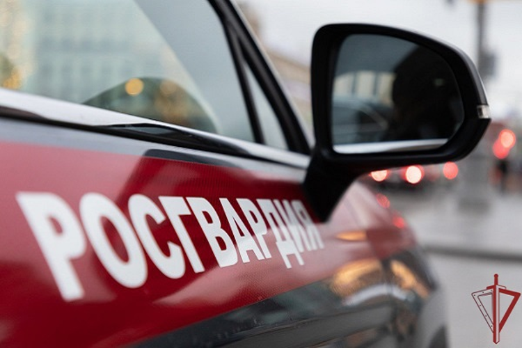 На Среднем Урале сотрудники Росгвардии задержали двух подозреваемых в краже велосипеда 