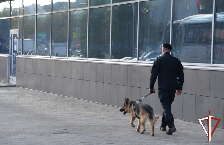 В Екатеринбурге Росгвардия обеспечила охрану порядка на матче регулярного чемпионата Континентальной хоккейной лиги