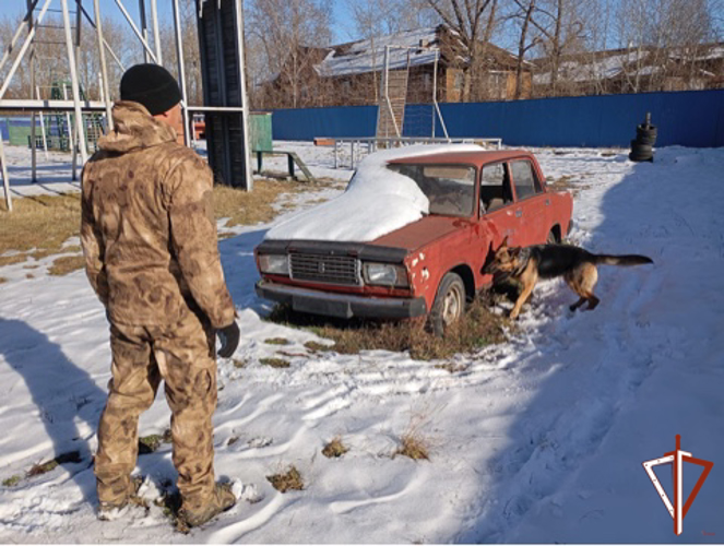 В Свердловской области состоялся сбор специалистов-кинологов Росгвардии