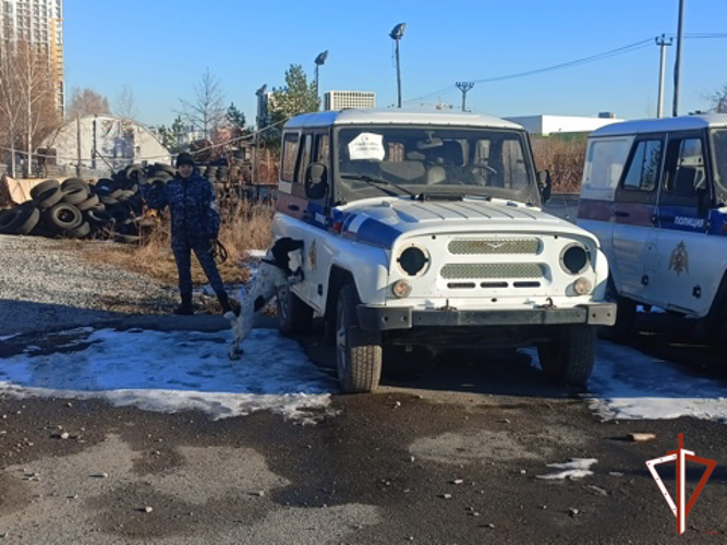 В Свердловской области состоялся сбор специалистов-кинологов Росгвардии