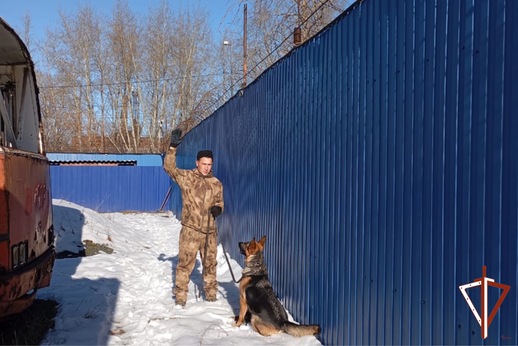 В Свердловской области состоялся сбор специалистов-кинологов Росгвардии