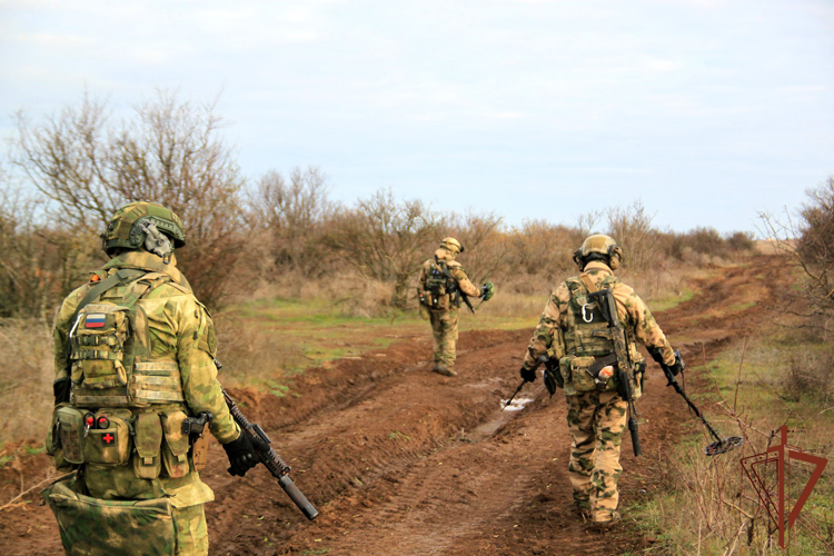 В Херсонской области саперы Росгвардии обнаружили тротиловые шашки на грунтовой дороге (видео)