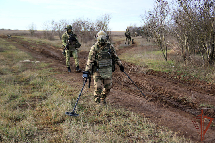 В Херсонской области саперы Росгвардии обнаружили тротиловые шашки на грунтовой дороге (видео)