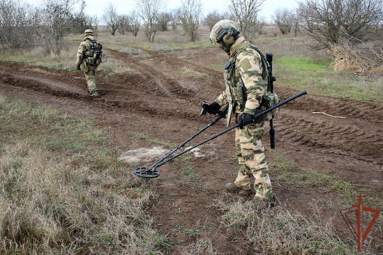 В Херсонской области саперы Росгвардии обнаружили тротиловые шашки на грунтовой дороге (видео)
