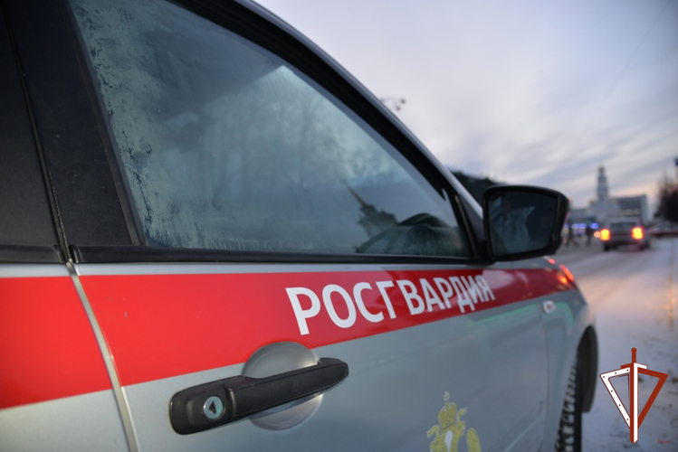 На Среднем Урале с участием Росгвардии состоялось межведомственное профилактическое мероприятие «Комендантский патруль»