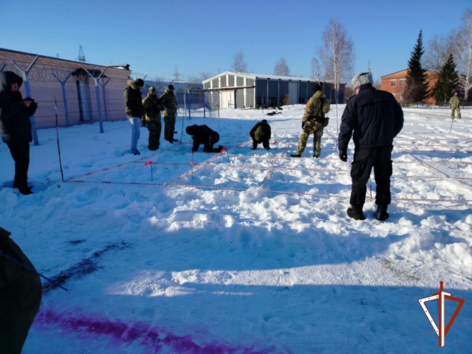 Патриотические мероприятия Росгвардии в рамках Года защитника Отечества продолжаются на Среднем Урале 