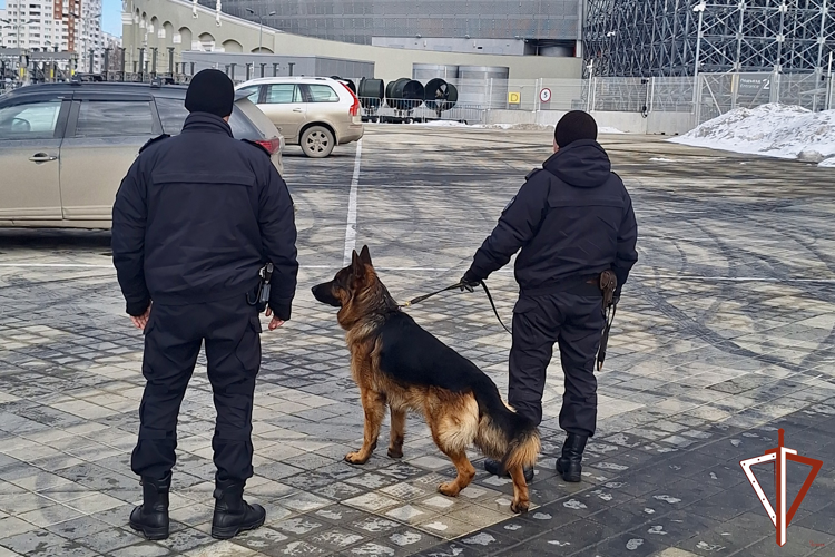 В Екатеринбурге Росгвардия обеспечила правопорядок на митинге-концерте в честь годовщины присоединения Крыма