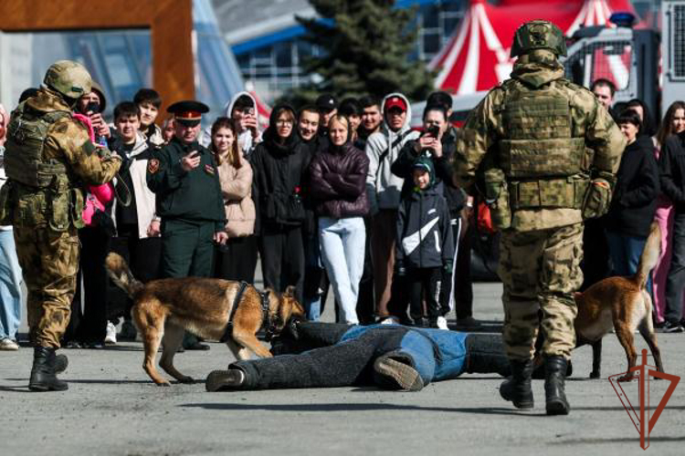 Чемпионат войск национальной гвардии по дзюдо завершился в Челябинске (видео)