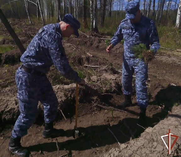 На Среднем Урале росгвардейцы приняли участие в патриотической акции «Сад памяти»