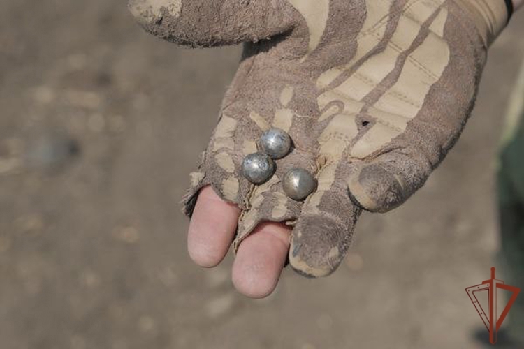 Росгвардейцы в ДНР сбили украинский беспилотник, начинённый поражающими элементами (видео)