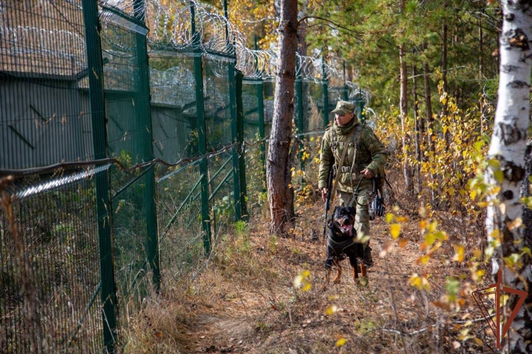 Росгвардейцы провели тренировки по задержанию условных нарушителей в зоне охраны объектов атомной отрасли (видео)