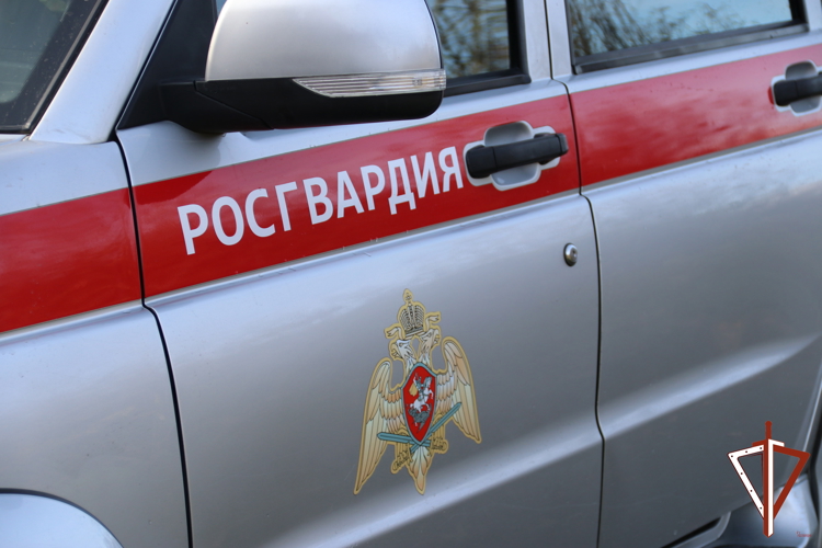 Росгвардейцы на Среднем Урале приняли участие во Всероссийском экологическом субботнике «Зеленая Россия»