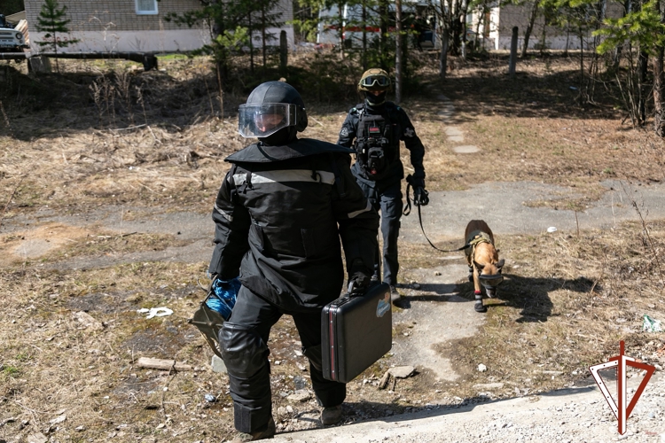 Наступает «Рассвет»