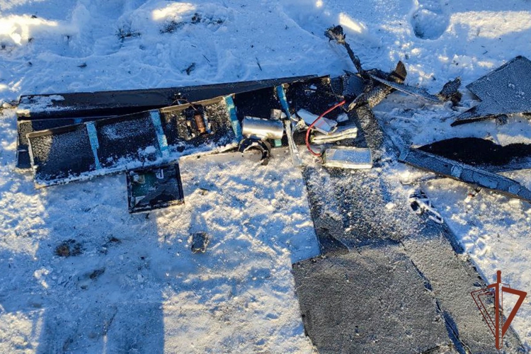 Росгвардия уничтожила 14 вражеских БПЛА за сутки над Херсонской и Запорожской областями
