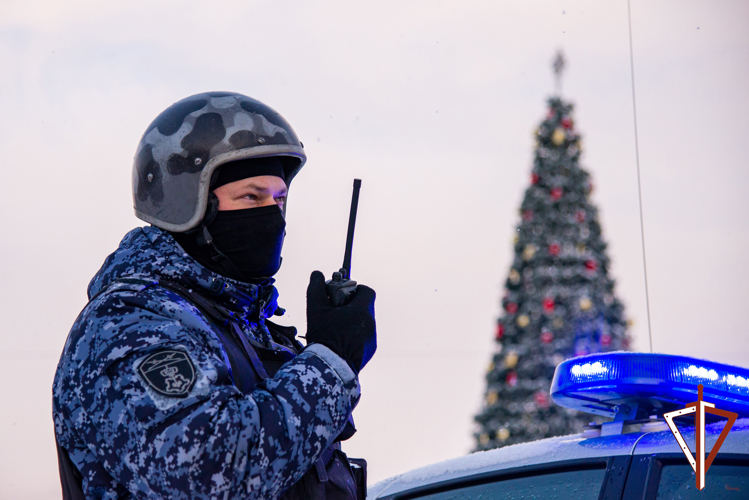 Наряды вневедомственной охраны Свердловской области за 2025 год выезжали по сигналам «тревога» более 28 тысяч раз