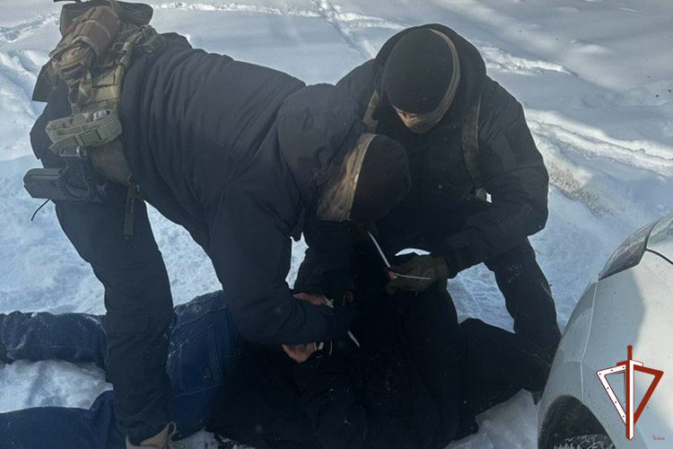 В Екатеринбурге при силовой поддержке СОБР Росгвардии задержаны подозреваемые в серии краж автомобилей