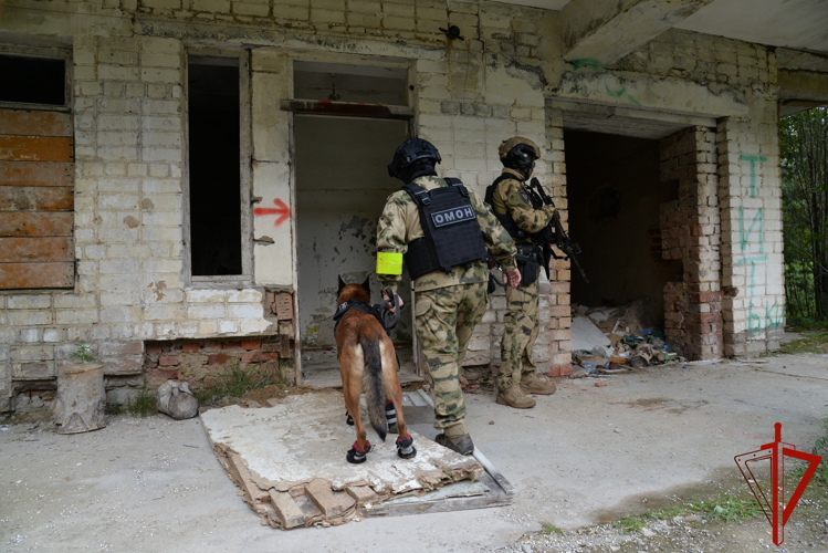 Идем на штурм: ОМОН под Нижним Тагилом провел тактико-специальное занятие