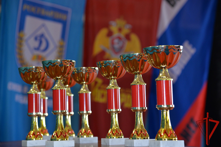 В Управлении Росгвардии по Свердловской области подвели итоги чемпионата по самбо