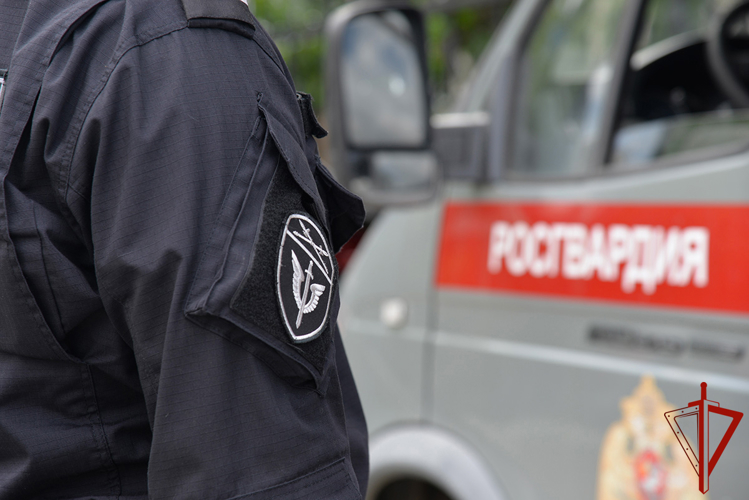 Росгвардия приняла участие в обеспечении безопасности Дня города в Екатеринбурге