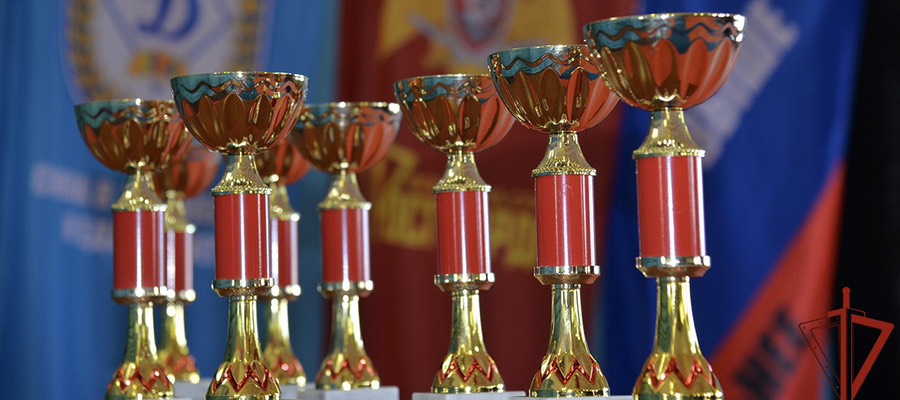 В Управлении Росгвардии по Свердловской области подвели итоги чемпионата по самбо