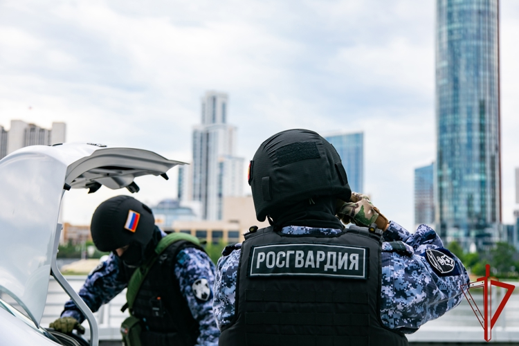 В Екатеринбурге росгвардеец и полицейский на выходном помогли пострадавшим в ДТП и задержали пытавшегося скрыться участника аварии