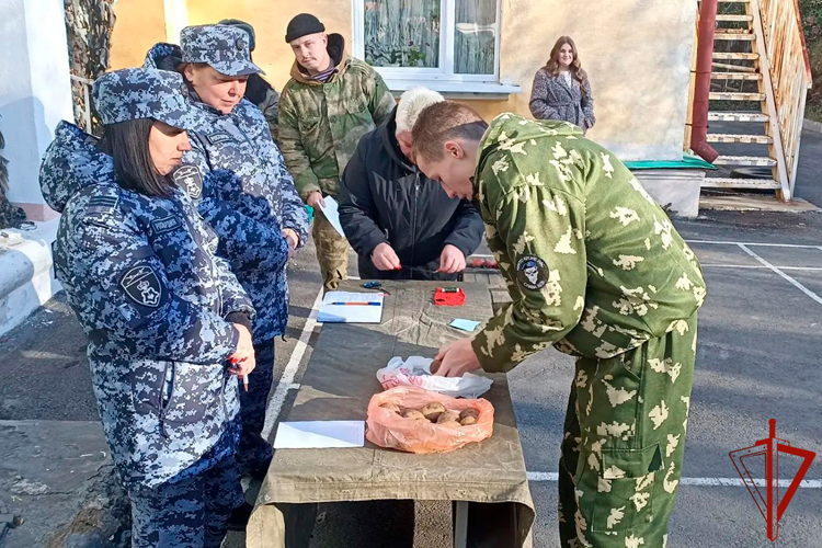 «Академия мужества» открывает двери: Росгвардейцы Урала провели патриотические встречи с молодежью