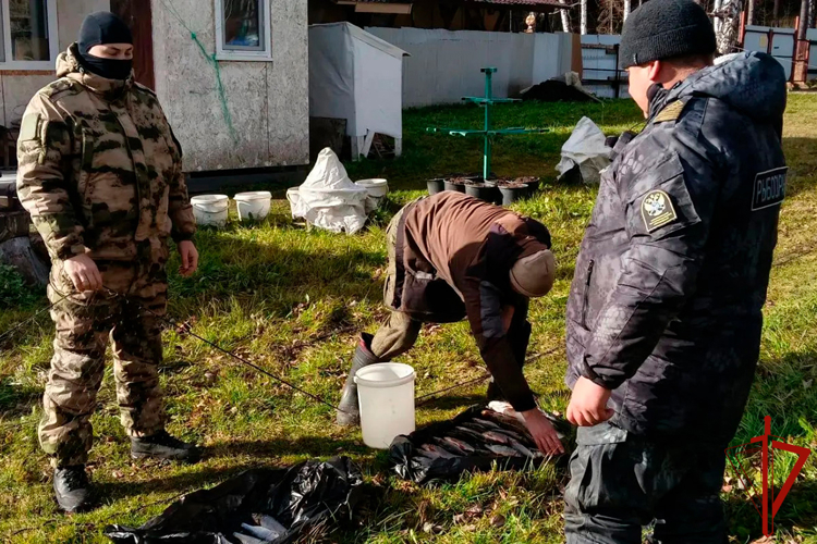 В Свердловской области при участии Росгвардии прошли профилактические рейды в сфере безопасности водных биологических ресурсов